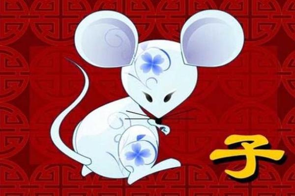 眼高手低打一动物生肖