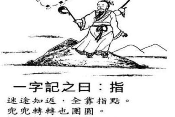 眼高手低打一动物生肖