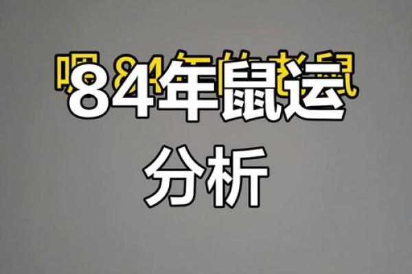 84年属鼠41岁2025年运势(1984年属鼠2025年运势)