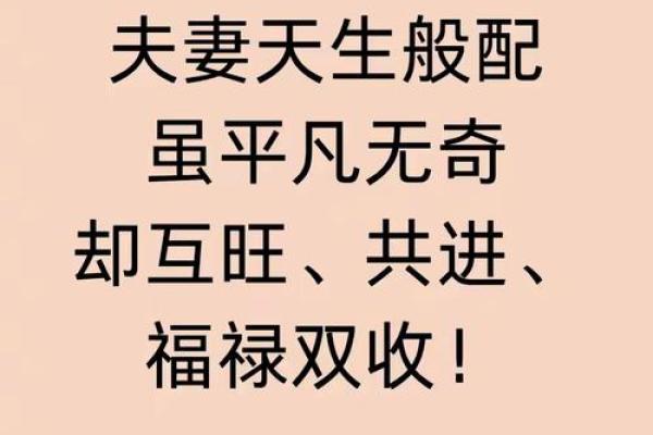 小打小闹打一个生肖 小打小闹打一生肖最佳答案