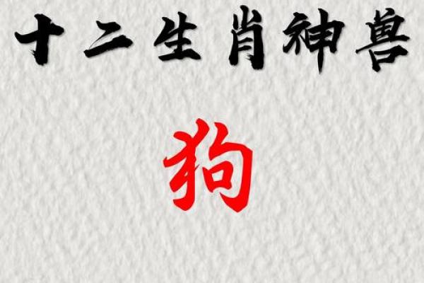 肉包打狗正确生肖是