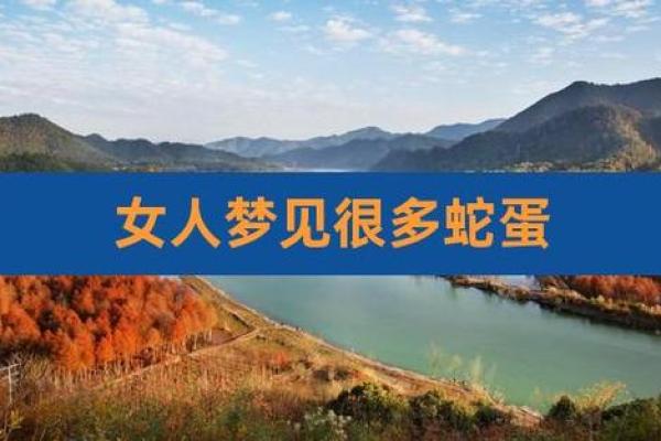 梦见蛇和蛇蛋是什么意思