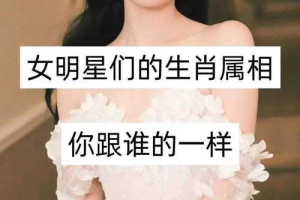 才子美女配一对猜生肖