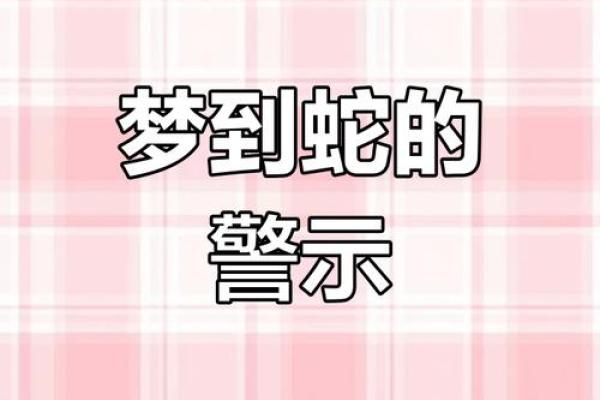 梦到身上好多蛇是什么预兆