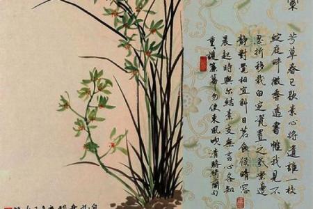 十分春色三五开打一最佳生肖 十分春色三五开打一正确动物-...