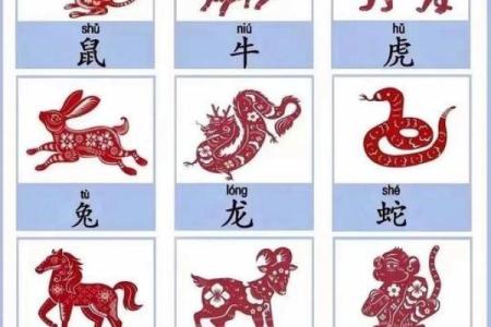 天各一方指什么生肖 天各一方是指十二生肖的哪个动物