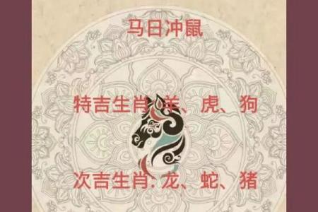 今年属鼠的财运和运气如何(今年属鼠的财运和运气如何2024)