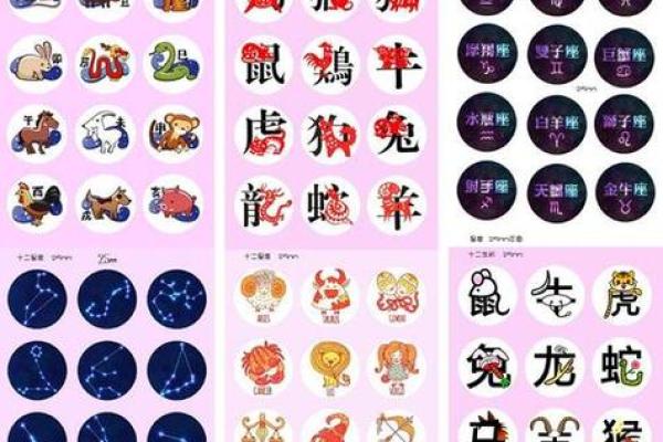 神机妙算打一个生肖