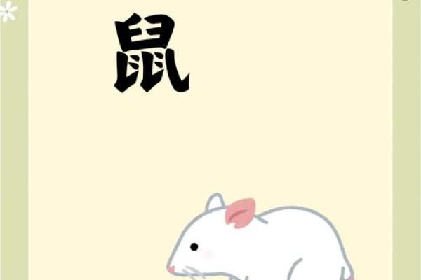 96年鼠女2025年运势完整版(96年鼠女士2022年运势及运程)