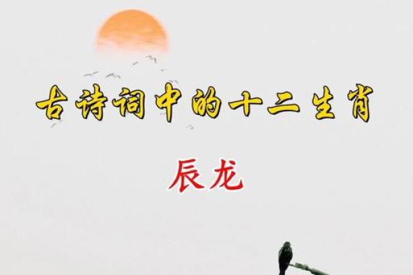 飞燕游龙是什么生肖