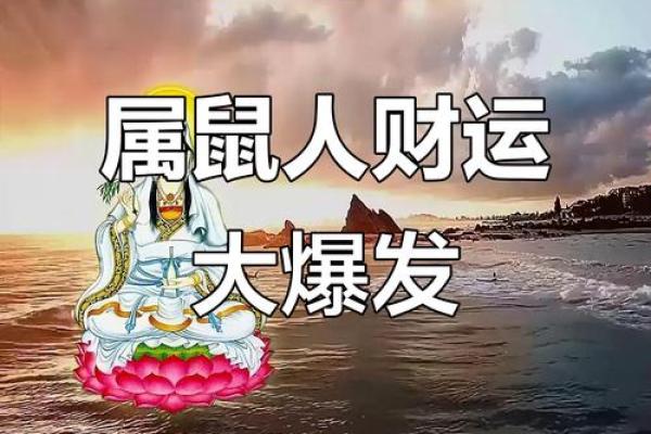 72年鼠4月份的运势(72年属鼠4月份财运)