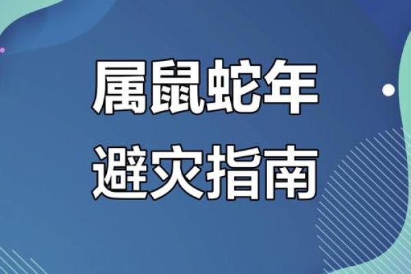 属鼠人2025年运势及运程(属鼠人2025年运势及运程详解)