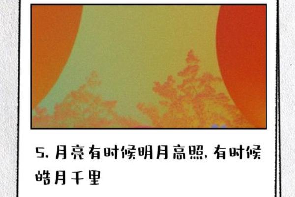 皓月千里是什么生肖 皓月千里打一最佳生肖