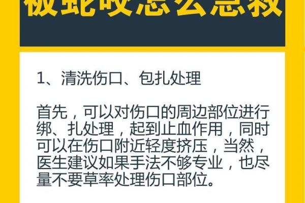 梦到蛇打架