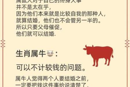 后来居上是什么生肖 后来居上打一正确生肖最佳答案