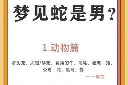 梦到家里进了好多蛇