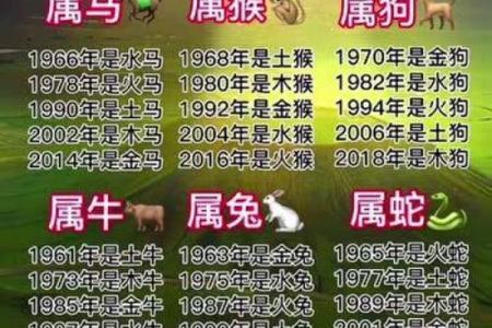 柳影花阴是什么生肖