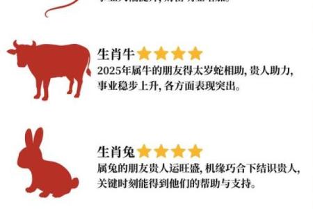 属老鼠2025年的运气和财运怎么样(属老鼠2025年的运气和财运怎么样呢)