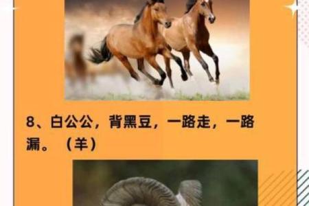 问五今秋几时黄是什么生肖 问五今秋几时黄打一正确生肖动...