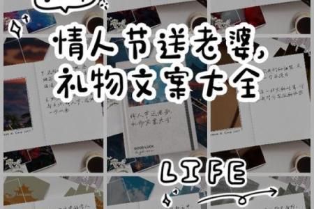 情人节送老婆什么礼物好一些 情人节送礼清单