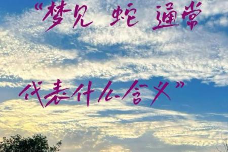 梦见放蛇走是什么意思