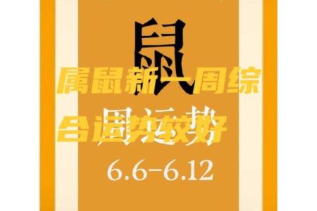 鼠今年运势及财运2025年运程(鼠今年运势及财运2025年运程鼠今年注意几月份)
