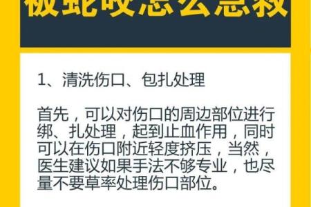 梦到蛇打架