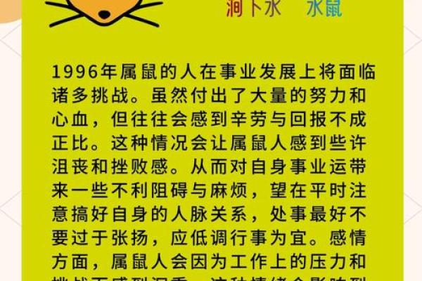 2008年属鼠男孩的命运(2008年属鼠男孩的命运详解)
