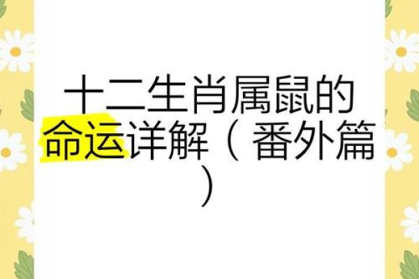 2008年属鼠男孩的命运(2008年属鼠男孩的命运详解)