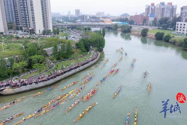 百舸竞渡是什么生肖 百舸争流指什么生肖