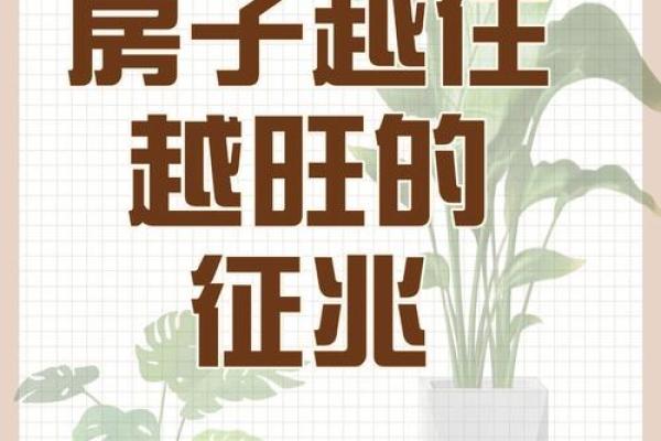 梦见房子什么运势