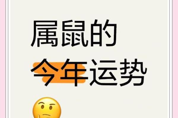 属鼠人2025年运势运程每月运程(属鼠人2025年运势运程每月运程第一星座网)