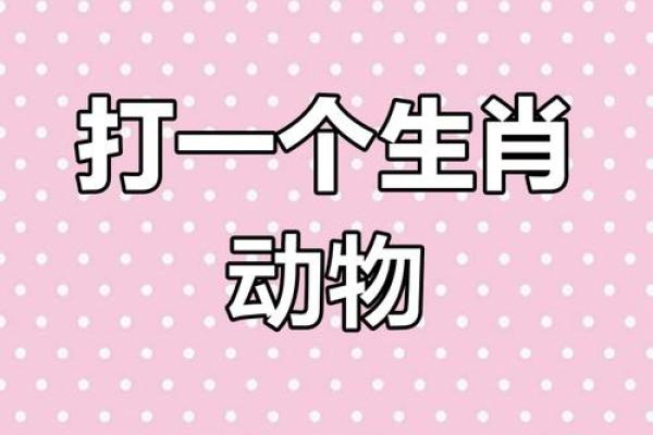 火眼金睛打一个生肖