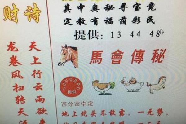 火眼金睛打一个生肖
