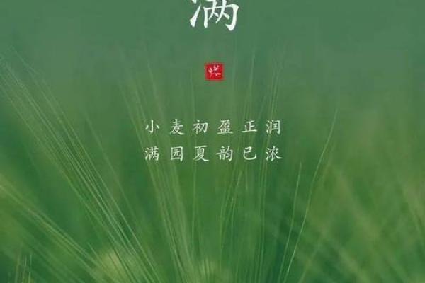 小满祝福语2023 小满节气文案祝福语