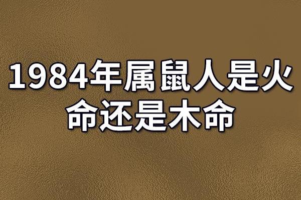 1984年属鼠的今年运势(1984年属鼠今年运势男)