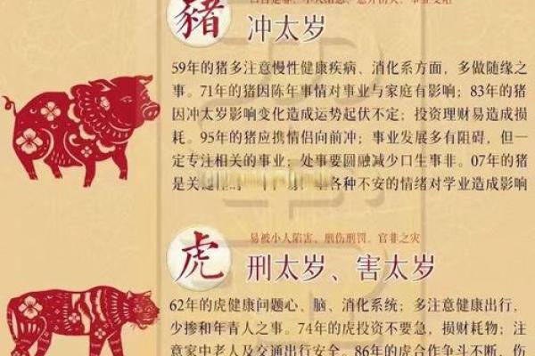 修炼成精打一正确生肖