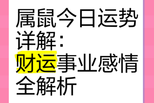 属鼠今天的财运如何(属鼠的财运好不好)