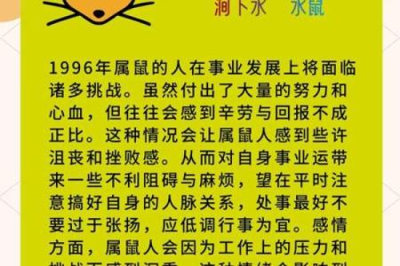 2008年属鼠男孩的命运(2008年属鼠男孩的命运详解)