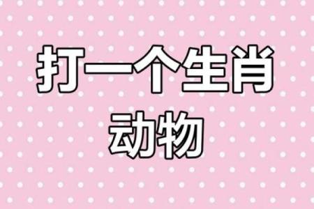 火眼金睛打一个生肖