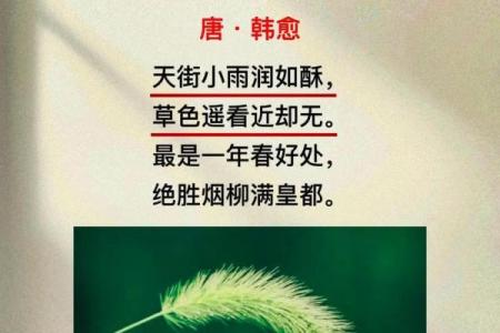 雨水节气的诗词 24节气雨水古诗赏析大全