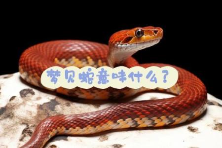梦见把蛇吃了