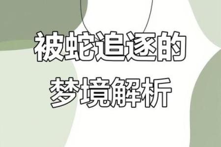 梦见被蛇追是什么预兆