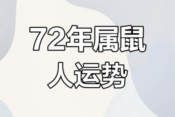 1972年鼠男2025年运势(1972年鼠男2025年运势每月财运如何)
