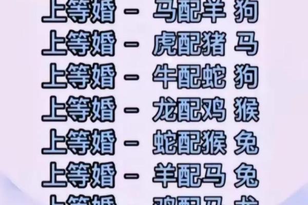 持打一正确生肖