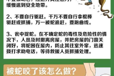 梦到蛇缠脚