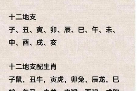 1984年的鼠2025年每月运势(1984年鼠2025年每月运势如何)