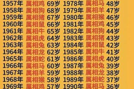2025年属鼠每月运势完整版(属鼠2025年龙年运势)