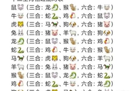 持打一正确生肖