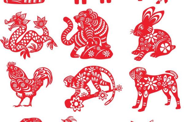 后继有人是指什么生肖